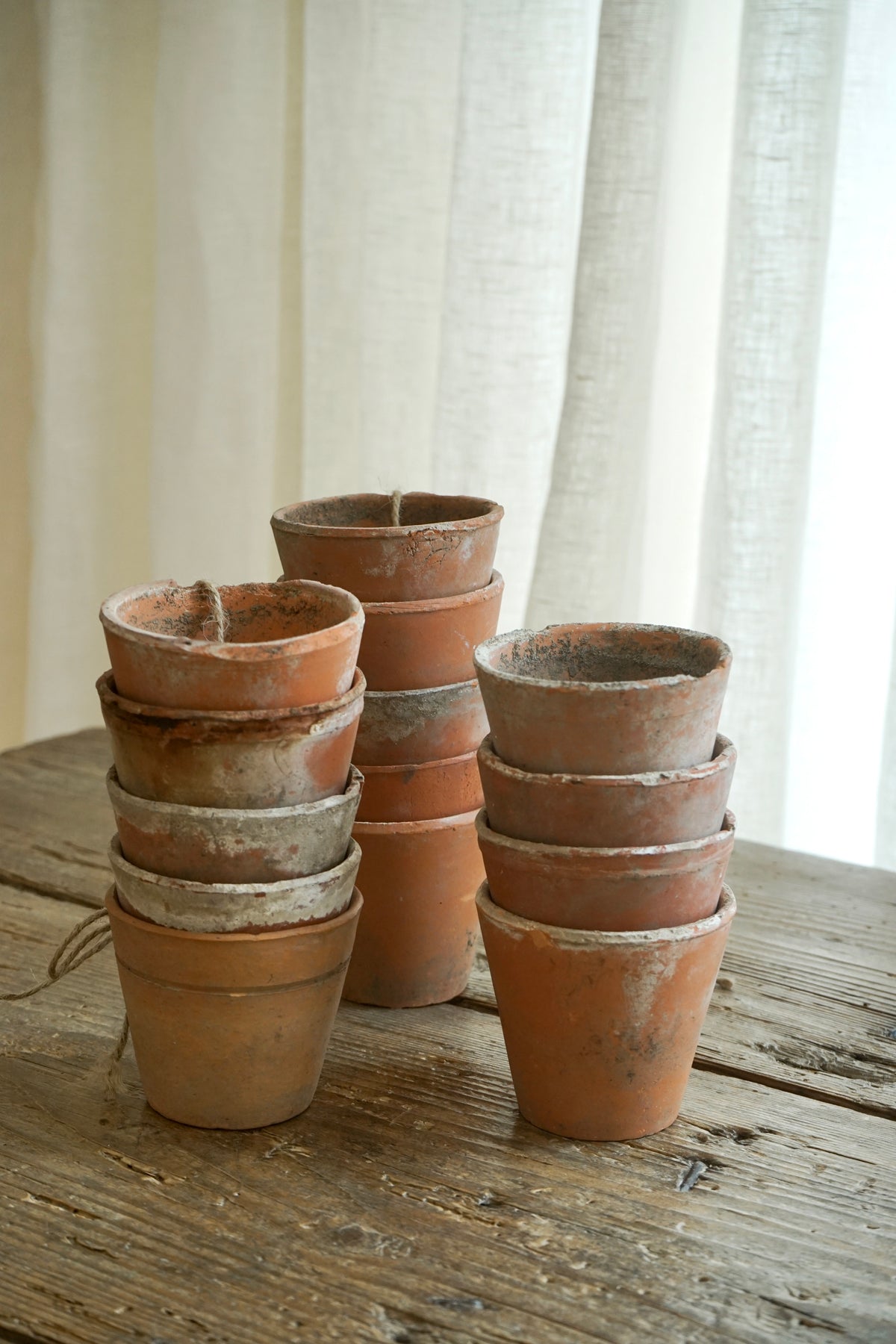 Set of Vintage French Seeding Pots 2/26