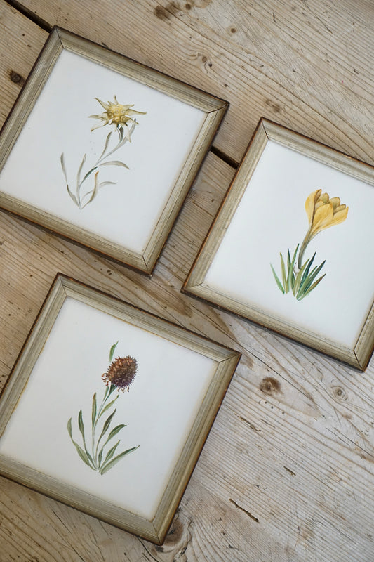 Set of Three Framed Floral Tiles